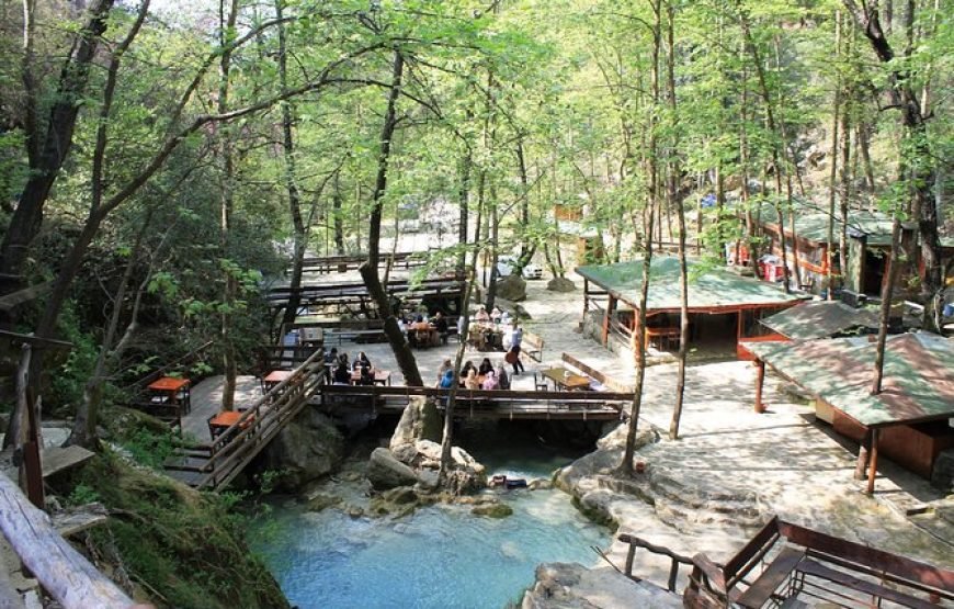 HIDDEN PARADISE 2025