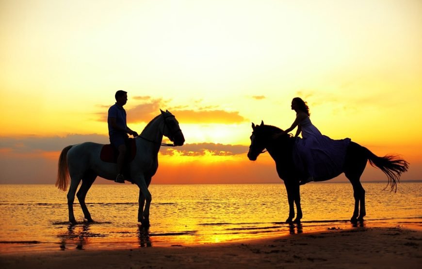 HORSE SAFARI 2025
