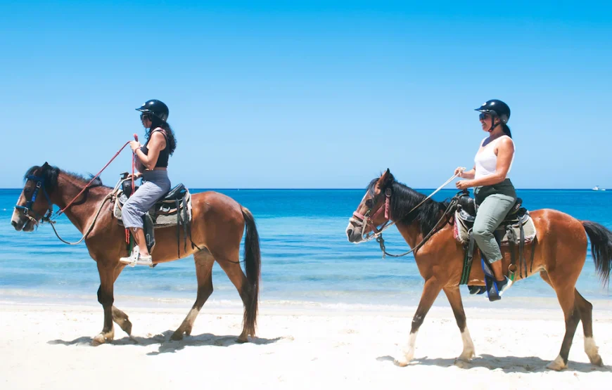 HORSE SAFARI 2025