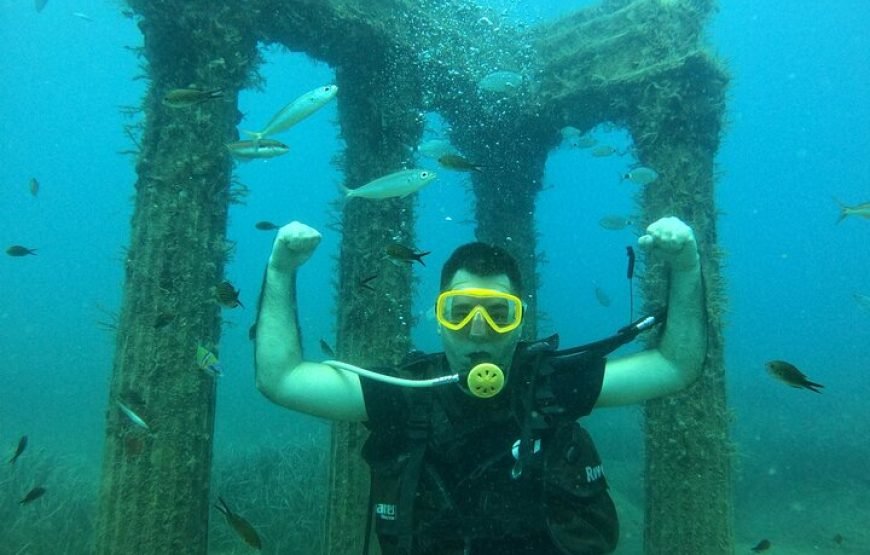 SIDE DIVING 2025