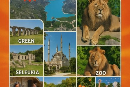 ТУР ПО АПЕЛЬСИНОВЫМ САДАМ 2025