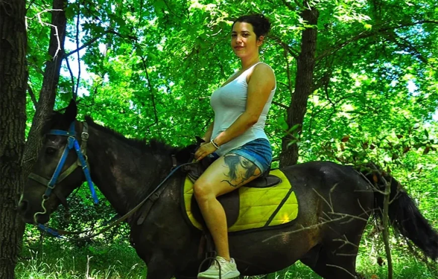 HORSE SAFARI 2025