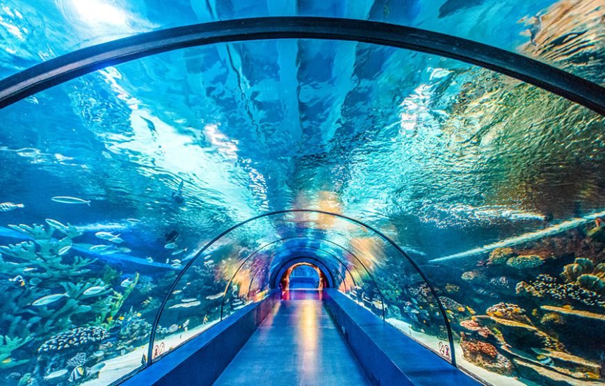 ANTALYA AQUARIUM 2025
