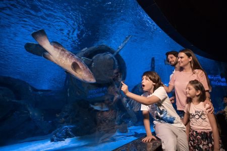 ANTALYA AQUARIUM 2025