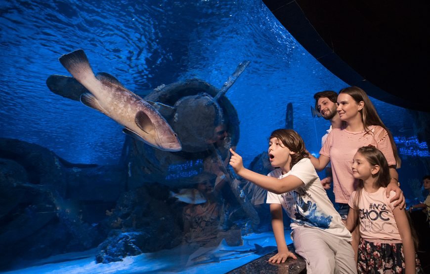 ANTALYA AQUARIUM 2025