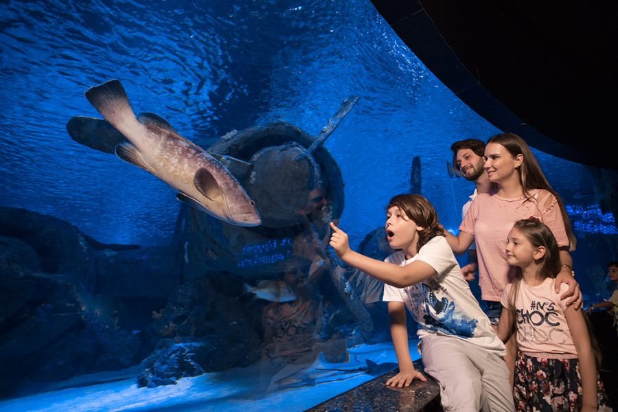 ANTALYA AQUARIUM 2025