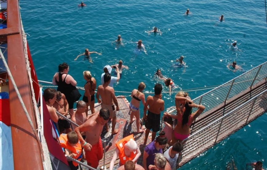 DOLPHIN ISLAND BOAT TOUR