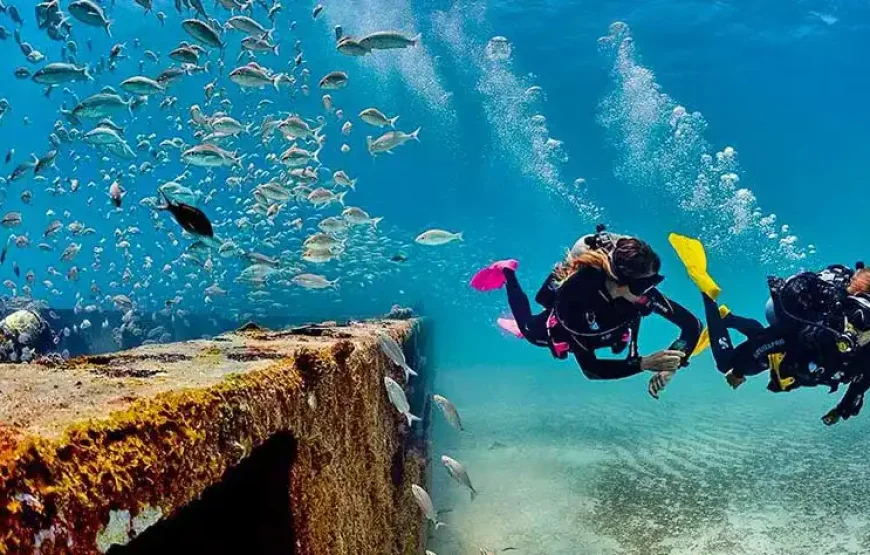 SIDE DIVING 2025