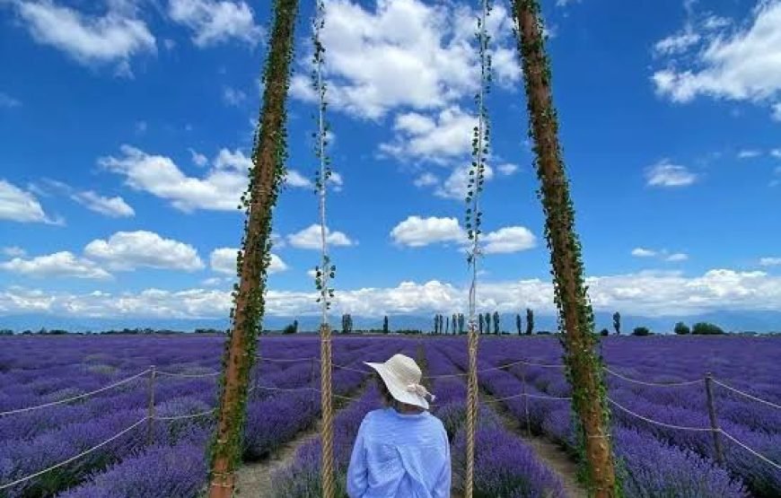 Azerbaycan Tour 2025(3 day)